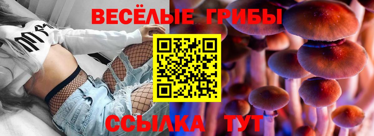 Галлюциногенные грибы MAGIC MUSHROOMS Великий Новгород